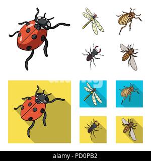 Gliederfüßer Insekten Marienkäfer, Libelle, Käfer, Colorado Käfer Insekten set Sammlung Icons im Cartoon, flacher Stil vektor Symbol lieferbar Isometrische illust Stock Vektor
