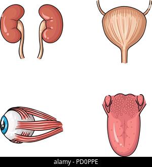 Niere, Blase, Augapfel, Zunge. Menschliche Organe set Sammlung Icons im Comic-stil Vektor Symbol lieferbar Abbildung. Stock Vektor