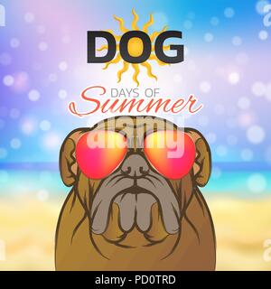 Hund Tage Sommer logo Icon Design, Vektor, Abbildung Stock Vektor