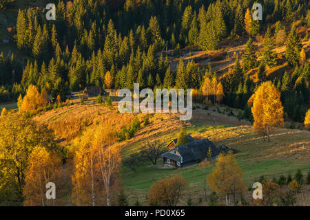 Farbenprächtige Herbstlandschaft im Bergdorf. Nebeliger morgen in den Karpaten, Ukraine Stockfoto