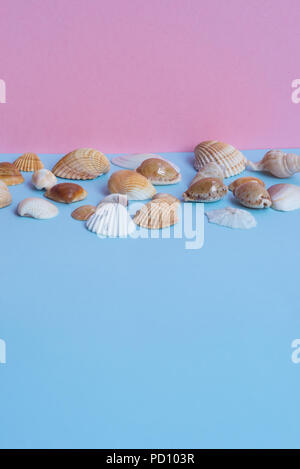 Verschiedene Muscheln auf einem hellen Blau und Rosa Hintergrund mit unterschiedlichen Ansichten und viele Copyspace. Minimalistisches Bild, das Erfassen der Geist der Sommer. Stockfoto