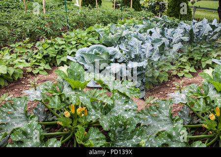 Tipwin de de live sportwetten