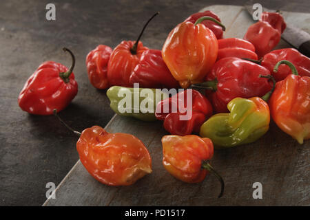 Chilis scotch bonnet Vielfalt Stockfoto