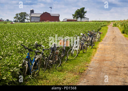 Eine Reihe von Fahrrädern, die in einem Bauernhof Feld in der Nähe von New Holland, Lancaster County, Pennsylvania geparkt. Fahrräder sind alte Ordnung Mennoniten als Transport verwendet Stockfoto