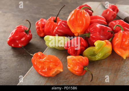 Chilis scotch bonnet Vielfalt Stockfoto