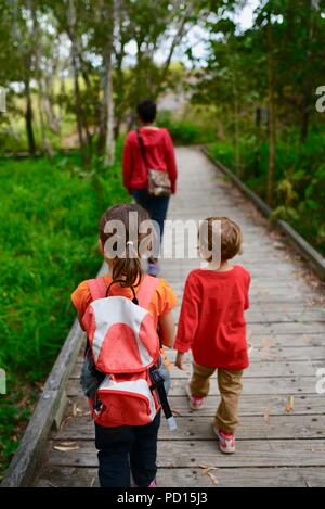 Eine Mutter geht mit ihren Kindern durch einen Wald, Booroona Wanderweg auf der Ross River, Rasmussen, QLD 4815, Australien Stockfoto