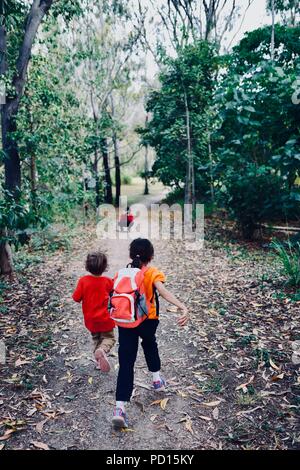 Eine Frau nimmt Fotos ihrer Kinder in einem Wald, Booroona Wanderweg auf der Ross River, Rasmussen, QLD 4815, Australien Stockfoto