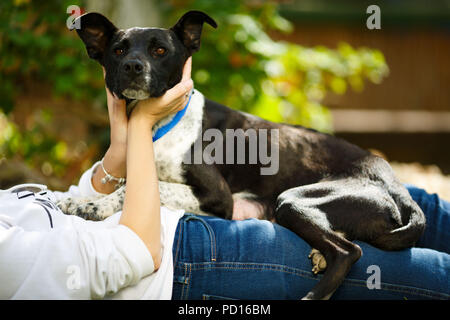 Younf Frau kämmen Sie das Fell eines schwarzen Hund in Ihrem Garten Stockfoto