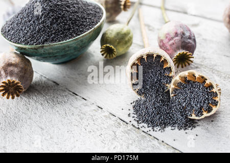 Mohn mit ihren Köpfen, die auf Holztafeln. Stockfoto