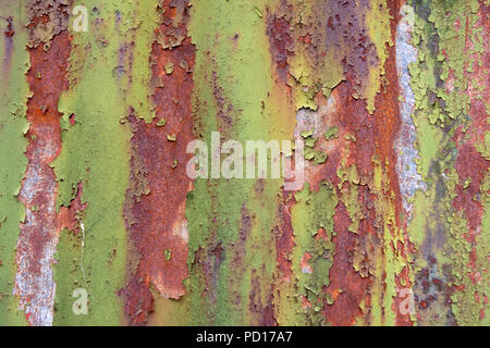 Rost Wellplatten auf dem Bauernhof Gebäude im Hintergrund Stockfoto