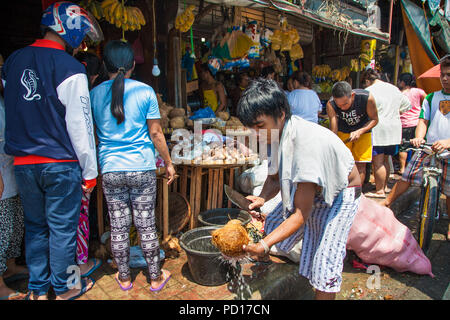 CEBU CITY, Philippinen - 24. MÄRZ 2016: Lokaler Junge schnitt die Kokosnuss auf Street Market am 24. März 2016 in Ceby Stadt. Philippinen. Stockfoto