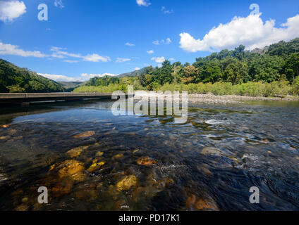 Farbige Felsen im Flussbett des Mulgrave River, Goldsborough Valley, Far North Queensland, FNQ, QLD, Australien Stockfoto