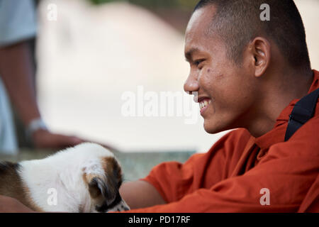 Ein Smilling junger buddhistischer Mönch spielt mit einem 2 Monate alten Welpen im Kloster, wo er lebt. In Siem Reap, Kambodscha. Stockfoto