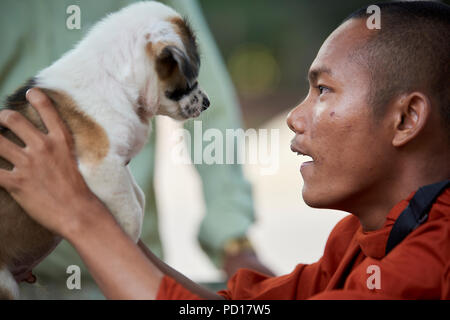 Ein Smilling junger buddhistischer Mönch spielt mit einem 2 Monate alten Welpen im Kloster, wo er lebt. In Siem Reap, Kambodscha. Stockfoto