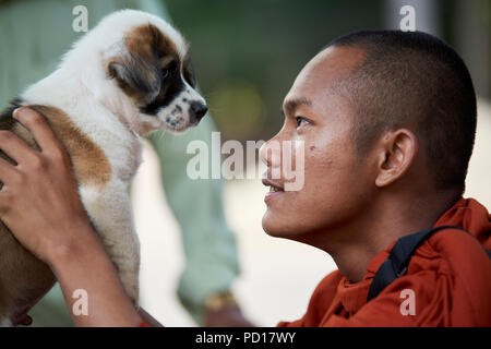 Ein Smilling junger buddhistischer Mönch spielt mit einem 2 Monate alten Welpen im Kloster, wo er lebt. In Siem Reap, Kambodscha. Stockfoto