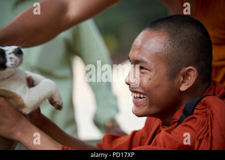 Ein Smilling junger buddhistischer Mönch spielt mit einem 2 Monate alten Welpen im Kloster, wo er lebt. In Siem Reap, Kambodscha. Stockfoto