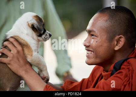 Ein Smilling junger buddhistischer Mönch spielt mit einem 2 Monate alten Welpen im Kloster, wo er lebt. In Siem Reap, Kambodscha. Stockfoto