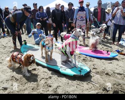 Pacifica, USA. 04 Aug, 2018. Die teilnehmenden Hunde und ihre Besitzer warten auf den Start. Zahlreiche große und kleine Hunde in der 'World Dog Surfen Meisterschaften teilgenommen" in der Nähe von San Francisco. Quelle: Barbara Munker/dpa/Alamy leben Nachrichten Stockfoto