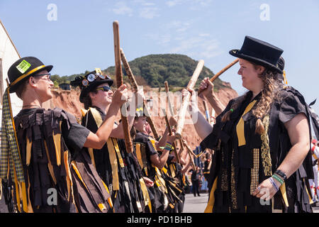 Sidmouth, Großbritannien. 5. August 2018. Die Sidmouth Folk Week wird politisch, da Morris-Tänzer ihre Brexit-Farben zeigen. Stockfoto