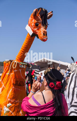 Sidmouth, Großbritannien 5. Aug. 18 Teilnehmer für das jährliche "horse trials' für Pantomime Pferde während Sidmouth Folk Woche. PhotoCentral/Alamy leben Nachrichten Stockfoto