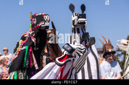 Sidmouth, Großbritannien 5. Aug. 18 Teilnehmer für das jährliche "horse trials' für Pantomime Pferde während Sidmouth Folk Woche. PhotoCentral/Alamy leben Nachrichten Stockfoto