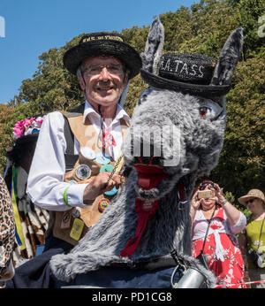 Sidmouth, Großbritannien 5. Aug. 18 Teilnehmer für das jährliche "horse trials' für Pantomime Pferde während Sidmouth Folk Woche. PhotoCentral/Alamy leben Nachrichten Stockfoto