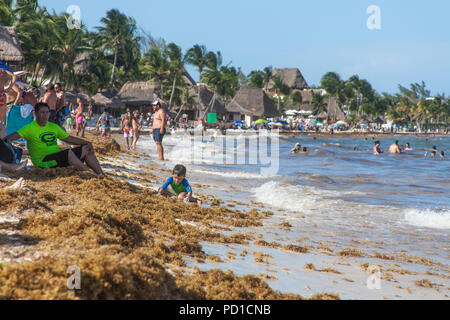 04. August 2018, Mexiko, Playa del Carmen: Braune Algen vor und in Shangrila Beach gefunden, 70 Kilometer südlich von Cancún, während Touristen am Strand zu sitzen. Mexiko die Küstenregion rund um den Ferienort Cancún ist derzeit von stinkenden Algen geplagt. Foto: Nico Mazzanti/dpa Stockfoto