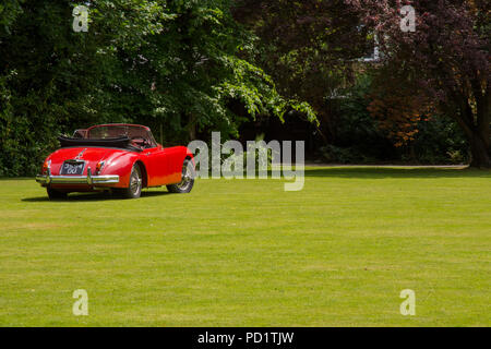 1959 red Jaguar XK 150 auf öffentliche Anzeige auf Rasen Stockfoto