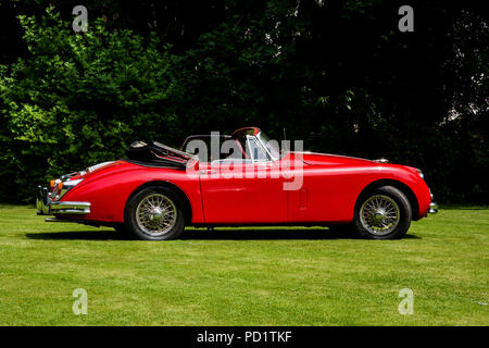 1959 red Jaguar XK 150 auf öffentliche Anzeige auf Rasen Stockfoto