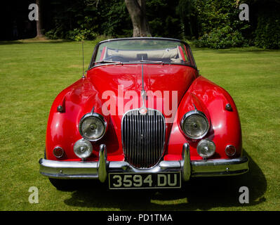 1959 red Jaguar XK 150 auf öffentliche Anzeige auf Rasen Stockfoto