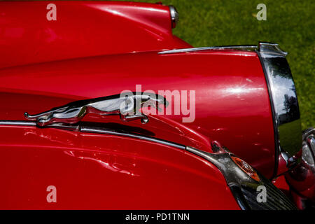 1959 red Jaguar XK 150 auf öffentliche Anzeige auf Rasen Stockfoto