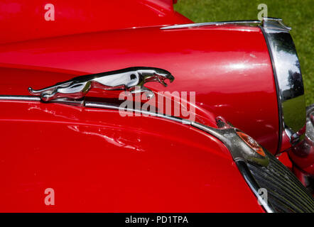 1959 red Jaguar XK 150 auf öffentliche Anzeige auf Rasen Stockfoto