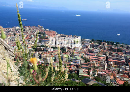 Pflanzen wachsen und blühen auf den Wänden von Castel Sant'Elmo in Neapel, Italien Stockfoto