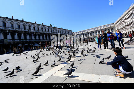 Kleinen Jungen füttern Tauben auf der Piazza San Marco in Venedig, Italien Stockfoto