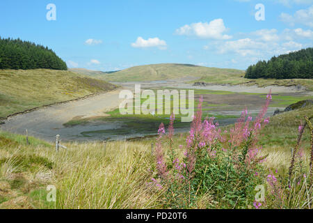 5. August 2018 über dem Durchschnitt Temperaturen und unterdurchschnittliche Regenfälle verursacht Nant Y Moch Behälter auf der untersten Ebene für viele Jahre sein Stockfoto