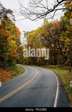 Herbst Farbe zusammen Skyline Drive, Shenandoah National Park, Virginia Stockfoto
