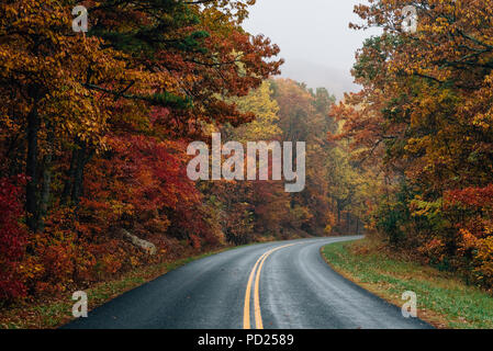 Herbst Farbe entlang der Blue Ridge Parkway, Virginia. Stockfoto