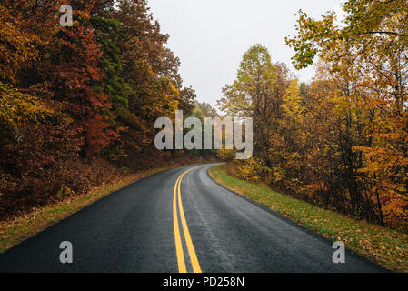 Herbst Farbe entlang der Blue Ridge Parkway, Virginia. Stockfoto