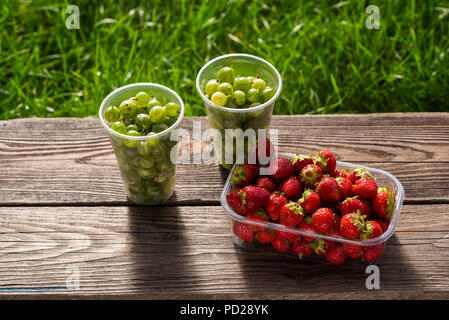 Stachelbeeren und Erdbeeren in Kunststoffkästen auf einem Holztisch auf dem Hintergrund von Gras Stockfoto