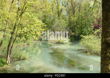 Geburt des Ebro in El Astillero, Cantabrial, Spanien Stockfoto