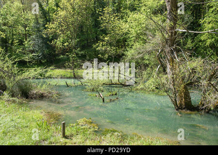 Geburt des Ebro in El Astillero, Cantabrial, Spanien Stockfoto