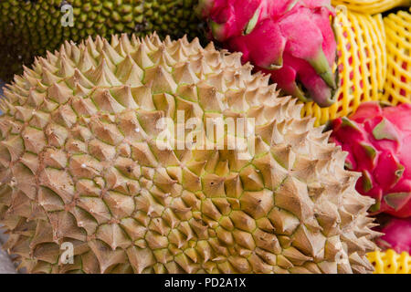 Frische Monthong durian auf dem Markt. Stockfoto