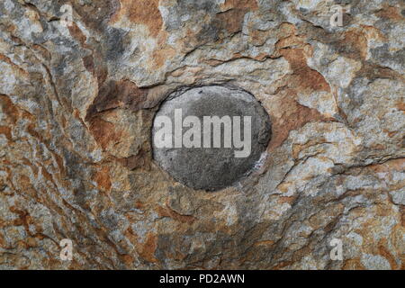 Botanical Beach, Detail im Fels, Vancouver Island, British Columbia, Kanada. Stockfoto