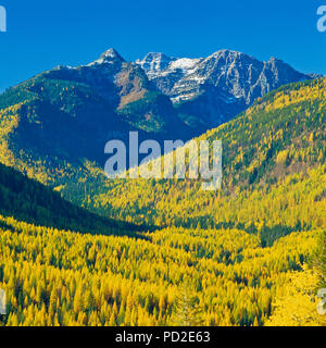 Herbst Lärche in Elk Creek Tal unbenannten Gipfeln in der Mission berge Wüste in der Nähe von condon, Montana Stockfoto