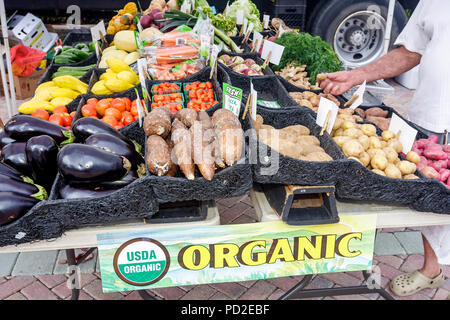 Boca Raton Florida, Palm Beach County, Royal Palm Place, Farmers Market, Shopping Shopper Shopper Shop Shops Märkte Marktplatz Kauf Verkauf, Einzelhandel st Stockfoto