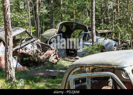 Ryd, Smaland, Schweden 30. Juli 2018. Die sumpfigen Wald Kyrko mosse ist ein altes Auto Friedhof, gefüllt mit den Wracks von historischen Fahrzeugen, Stockfoto