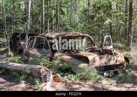 Ryd, Smaland, Schweden 30. Juli 2018. Die sumpfigen Wald Kyrko mosse ist ein altes Auto Friedhof, gefüllt mit den Wracks von historischen Fahrzeugen, Stockfoto