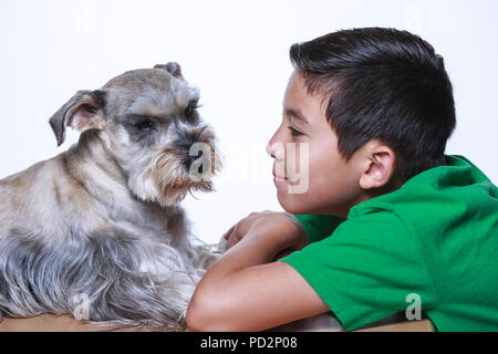 Ein Junge und ein Zwergschnauzer teilen einige kleben zusammen Zeit in diesem Studio Foto. Stockfoto