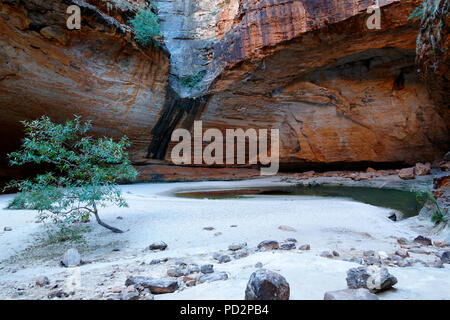 Sandstein Felsformationen im Cathedral Gorge Purnululu National Park, Kimberley, Nordwesten Australien Stockfoto