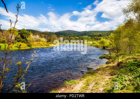 Den River Spey in der Nähe des Dorfes Rothes Stockfoto